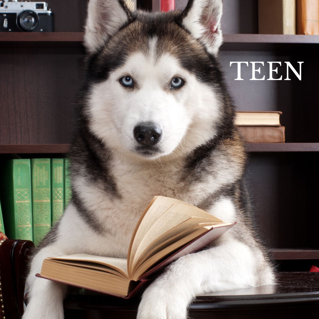 Husky with a book